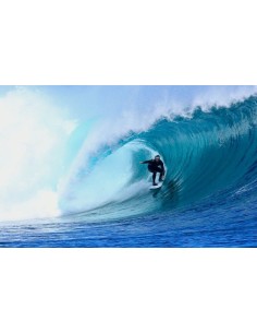 COLECTOR ORINA AUTOADHESIVO SILICONA 30MM ( pitochin ) c/30 uds